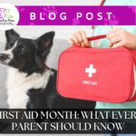 A child holding a red first aid kit beside a black and white Border Collie, representing Pet First Aid Awareness Month on the Fun Fur Pets blog.