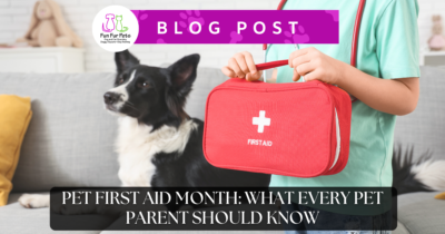 A child holding a red first aid kit beside a black and white Border Collie, representing Pet First Aid Awareness Month on the Fun Fur Pets blog.