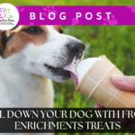dog licking and ice cream cone being held by a hand. Text overlay says "blog post" and "Cool Down Your Dog with Frozen Enrichment Treats".