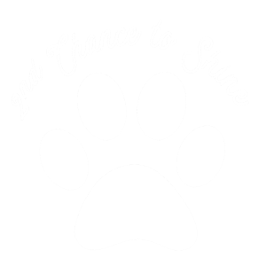2nd Chance to Shine logo_white